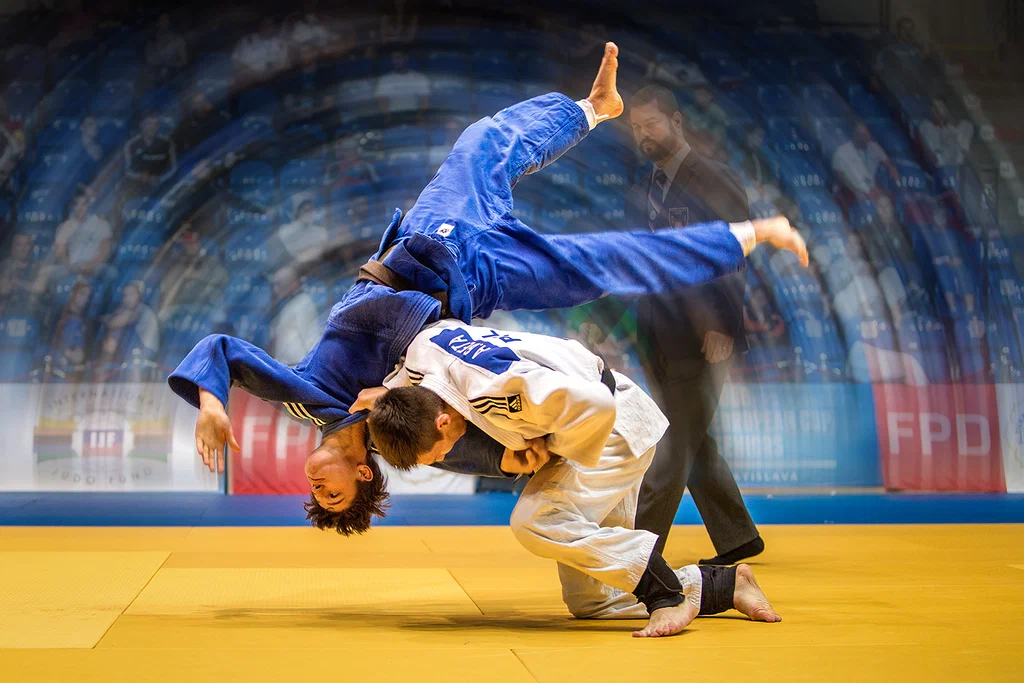 Ippon Judo (Washington USA)